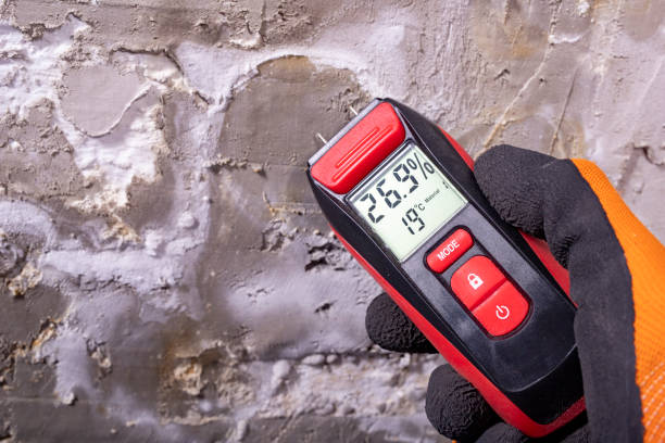 Best Crawl Space Mold Remediation in Osseo, WI