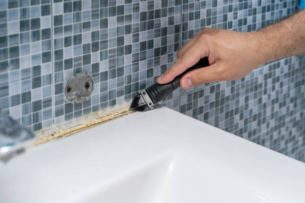Best Industrial Mold Remediation in Osseo, WI